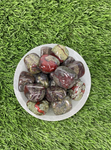Tumbled DRAGON BLOODSTONE / Authentic Tumbled Dragon BLOODSTONE / Dragon Bloodstone