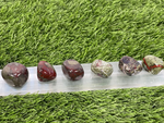 Tumbled DRAGON BLOODSTONE / Authentic Tumbled Dragon BLOODSTONE / Dragon Bloodstone