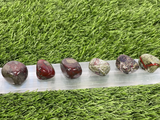 Tumbled DRAGON BLOODSTONE / Authentic Tumbled Dragon BLOODSTONE / Dragon Bloodstone
