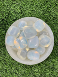 Tumbled OPAL / Authentic OPAL / OPAL