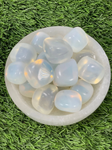 Tumbled OPAL / Authentic OPAL / OPAL