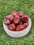 Tumbled RED JASPER / Authentic Tumbled Red Jasper / Red Jasper