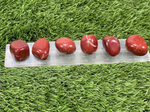 Tumbled RED JASPER / Authentic Tumbled Red Jasper / Red Jasper