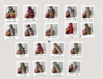 Sage Variety Pack, Smudging Bundle Set, SAGE BUNDLE 18 PCS, 18 Pack Variety Sage Smudging Bundle Set