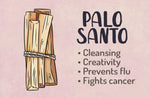 Organic Wholesale Palo Santo Sticks from PERU,0.5in diameter  Bulk, Palo Santo at Wholesale Price, FREE SHIPPING