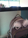 Purse & Bag Hook Hanger, Handbag hook,