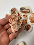 Vanadinite Cluster - Vanadinite Crystal - Natural Crystal Cluster - Approx. 1.5" to 2.5"