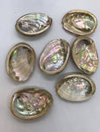 Abalone Sea Shell 3" - 3.5" - For Smudging, Burning Sage Sticks, Incense, Crafts, Display etc