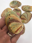 Abalone Sea Shell 3" - 3.5" - For Smudging, Burning Sage Sticks, Incense, Crafts, Display etc