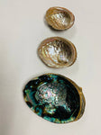 3-7 IN  Green Abalone Sea Shell ,Incense burner, Sea Shell, Chameleon Abalone Shell, Wholesale Abalone Shell