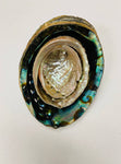 3-7 IN  Green Abalone Sea Shell ,Incense burner, Sea Shell, Chameleon Abalone Shell, Wholesale Abalone Shell