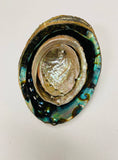 3-7 IN  Green Abalone Sea Shell ,Incense burner, Sea Shell, Chameleon Abalone Shell, Wholesale Abalone Shell
