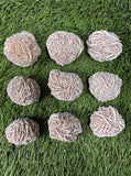 Desert Rose Selenite Buds 1"-1.5", Hand Picked, (Premium Quality 'A' Grade), (Also Known as: Gypsum Rose), Hand Picked Desert Rose Pcs Raw.