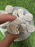 Desert Rose Selenite Buds 1"-1.5", Hand Picked, (Premium Quality 'A' Grade), (Also Known as: Gypsum Rose), Hand Picked Desert Rose Pcs Raw.