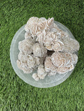 Desert Rose Selenite Chunks , Hand Picked, (Premium Quality 'A' Grade), (Also Known as: Gypsum Rose), Hand Picked Desert Rose Pcs Raw.