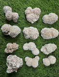 Desert Rose Selenite Chunks , Hand Picked, (Premium Quality 'A' Grade), (Also Known as: Gypsum Rose), Hand Picked Desert Rose Pcs Raw.