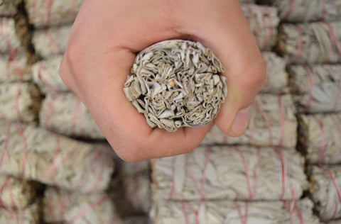 ORGANIC White Sage 4 in long  25 pcs , with INTernational SHipping 25 pcs per box