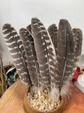 Natural Turkey Feathers, Smudging Feathers,  Feathers For Smudging or Decoration, Ethically sourced feathers, Spiritual Feathers.