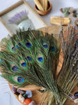 USA Natural PEACOCK FEATHERS, 10" - 12" Big Eye Natural Peacock Tail, Iridescent Peacock Tail, Iridescent Peacock Eye Tail, Peacock Eye Tail