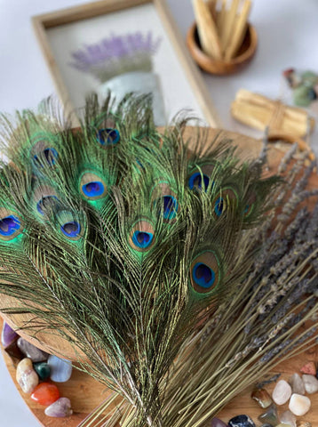 USA Natural PEACOCK FEATHERS, 10" - 12" Big Eye Natural Peacock Tail, Iridescent Peacock Tail, Iridescent Peacock Eye Tail, Peacock Eye Tail