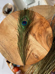 USA Natural PEACOCK FEATHERS, 10" - 12" Big Eye Natural Peacock Tail, Iridescent Peacock Tail, Iridescent Peacock Eye Tail, Peacock Eye Tail