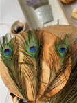 USA Natural PEACOCK FEATHERS, 10" - 12" Big Eye Natural Peacock Tail, Iridescent Peacock Tail, Iridescent Peacock Eye Tail, Peacock Eye Tail