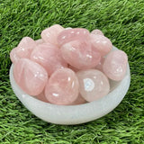 Tumbled ROSE QUARTZ / Authentic Tumbled Rose  Quartz / ROSE Quartz