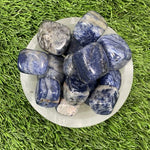Tumbled SODALITE / Authentic SODALITE / SODALITE