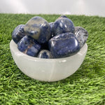 Tumbled SODALITE / Authentic SODALITE / SODALITE