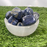 Tumbled SODALITE / Authentic SODALITE / SODALITE